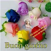 Offro lezioni private per la zona di Airola